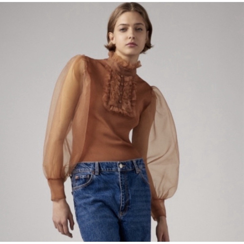 ZARA Brown/Taupe Top Organza Ruffle‎ Woman M Poet Pirate Career Steam punk